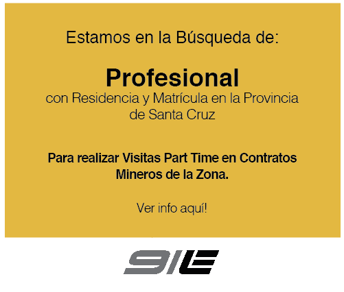 Buscamos // Profesional Minería – Santa Cruz