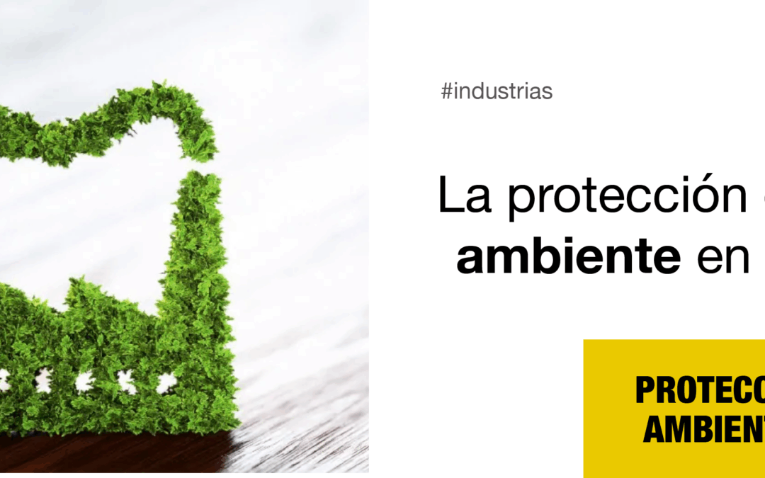 La protección del medio ambiente en Argentina.