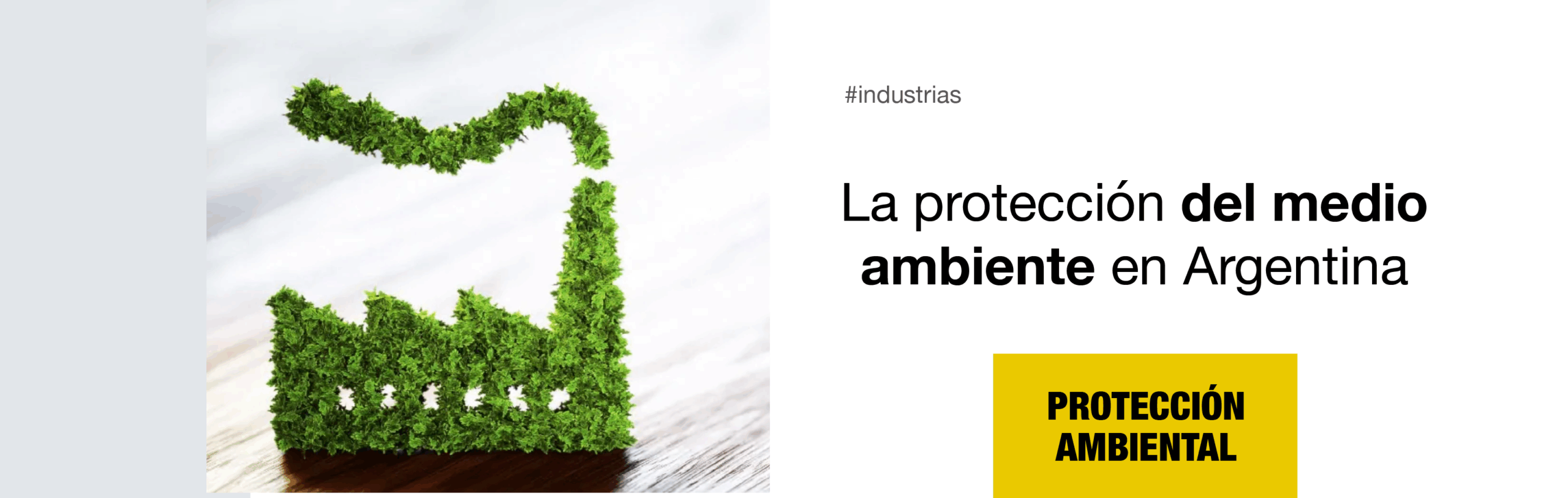 La protección del medio ambiente en Argentina. - 91LE